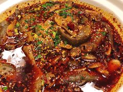 -情妹耙泥鳅·江湖川菜(科华店)