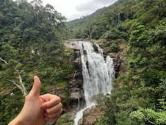 -海南热带雨林国家公园吊罗山景区