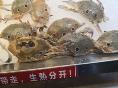 -吉布鲁牛排海鲜自助(芙蓉万家丽店)