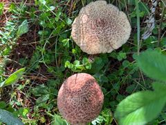 -奇迹健身(SM广场店)