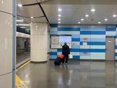 -大望路(地铁站)