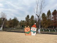 -九科绿洲