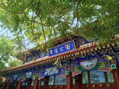 -渭滨公园