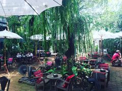 -Fern Forest Cafe