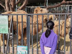 -泉州海丝野生动物世界