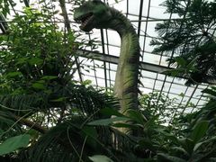 -呀路古热带植物园