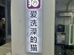 -爱洗澡的猫(望京店)