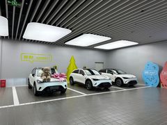 -上海浦东smart汽车全功能店(金桥店)