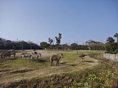 -宁波野生动物园