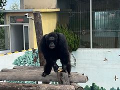 -西霞口神雕山野生动物世界