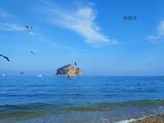 -棒棰岛宾馆景区