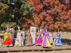 -五角枫生态旅游景区