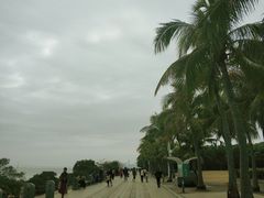 -深圳湾公园(南山区)