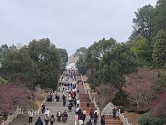 -庐山风景名胜区-东林大佛