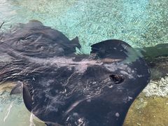 -珠海长隆海洋王国