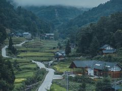 -梧桐山风景名胜区