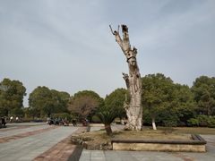 -漕湖湿地公园