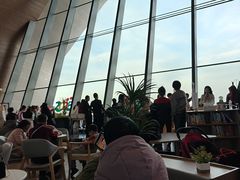 -抱抱地球咖啡馆(国家海洋博物馆店)