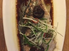 iphone_upload_pic-旅马餐厅(茅家埠店)