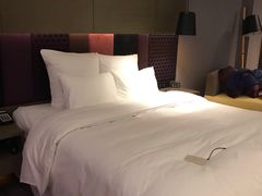 -南京禄口机场雅高铂尔曼大酒店