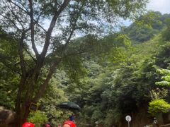 -将军关探险漂流