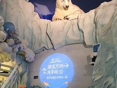 -海合安青岛极地海洋公园