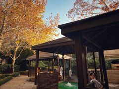 -春晖园度假酒店温泉