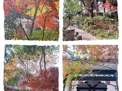-华山儿童公园