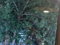 -驭羊大爷烤羊腿·羊蝎子火锅(玉凤路总店)