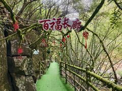 -梁野山景区
