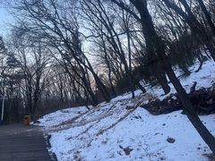 -帽儿山国家森林公园