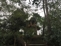 -巢湖姥山岛