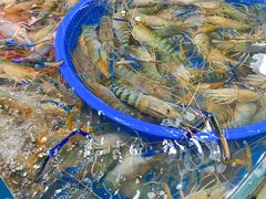 -王四营海鲜市场