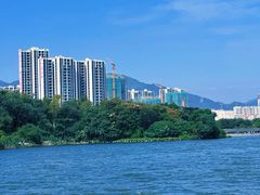 -飞来湖湿地公园