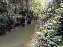 -怀托摩萤火虫洞