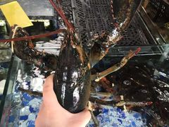 -晶莹品鲜.顺德鱼生.特色桑拿菜