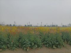 -中国天府农业博览园