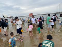 -碧海金沙
