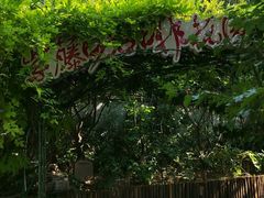 -太阳宫公园