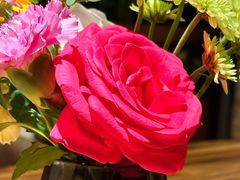 -半秋山西餐厅(销品茂店)