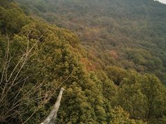 -杭州半山国家森林公园