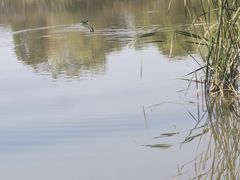 -山水间小院