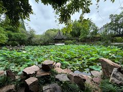 -上海醉白池公园
