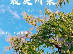 -小河盐帮·私家菜·烤鸭(三元桥·霄云路店)