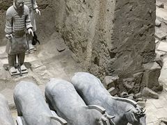 -秦始皇帝陵博物院(兵马俑)