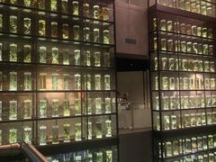 -广东中医药博物馆