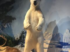 -陕西自然博物馆