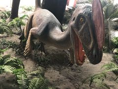 -辽宁古生物博物馆