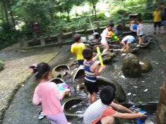 -成都市活水公园