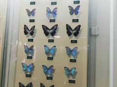 -陕西自然博物馆